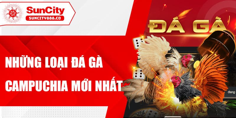 đá gà
